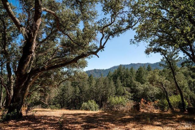 $800,000 | 0 Mount Veeder Rd Street, Napa, CA 94558