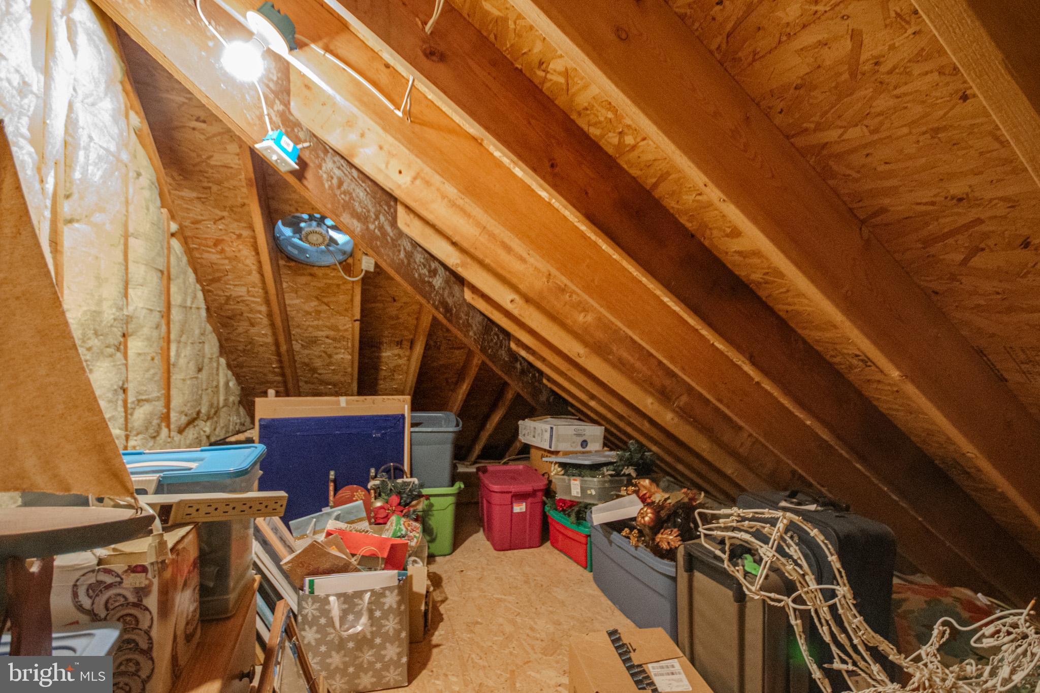 907 Walbash Street Salisbury, MD 21804 - Photo 28 of 47 Attic