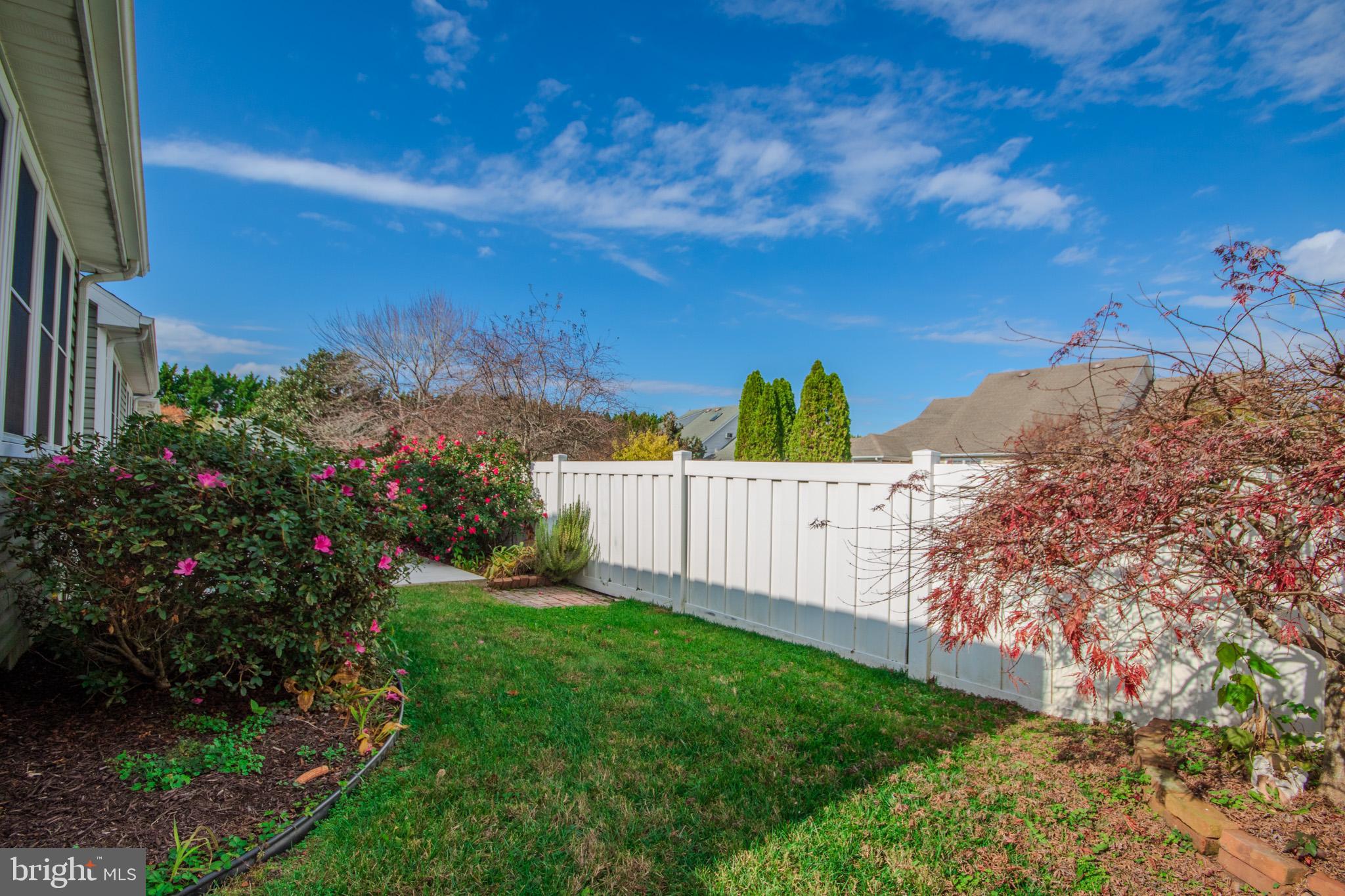 907 Walbash Street Salisbury, MD 21804 - Photo 38 of 47 Back yard