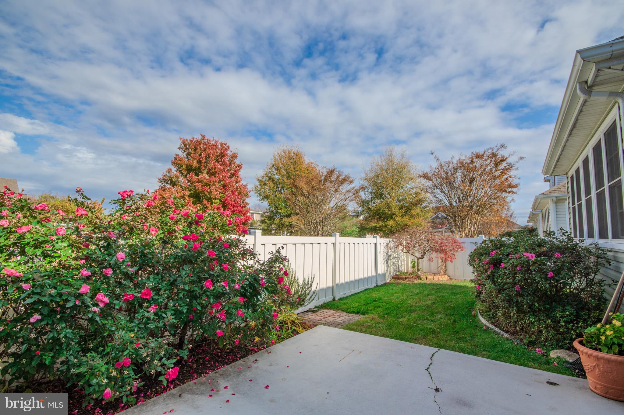 907 Walbash Street Salisbury, MD 21804 - Photo 43 of 47 Back yard