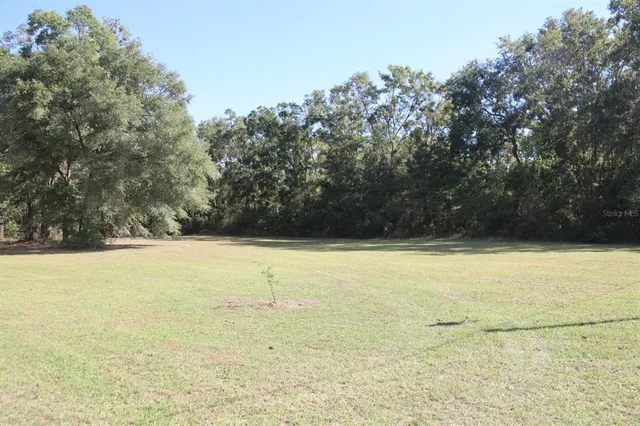 a view of beach and ocean