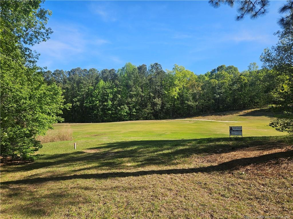 403 Lionshead Road Fayetteville, NC 28311 - Photo 36 of 49 a view of a yard with a house