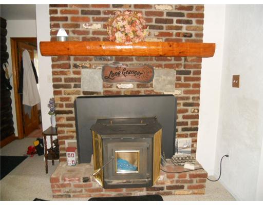 295 Sundust Road Eighty Four, PA 15330 - Photo 5 of 17 Other. pellet stove in living room