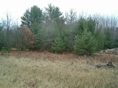 1419 Duck Lake Road Muskegon, MI 49445 - Photo 14 of 15 Additional Photo