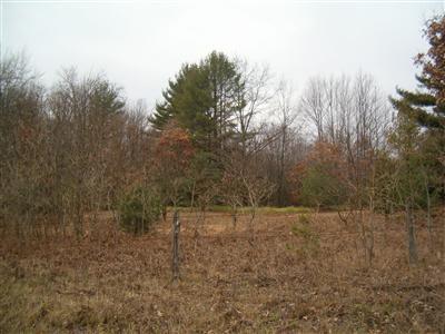 1419 Duck Lake Road Muskegon, MI 49445 - Photo 15 of 15 Additional Photo
