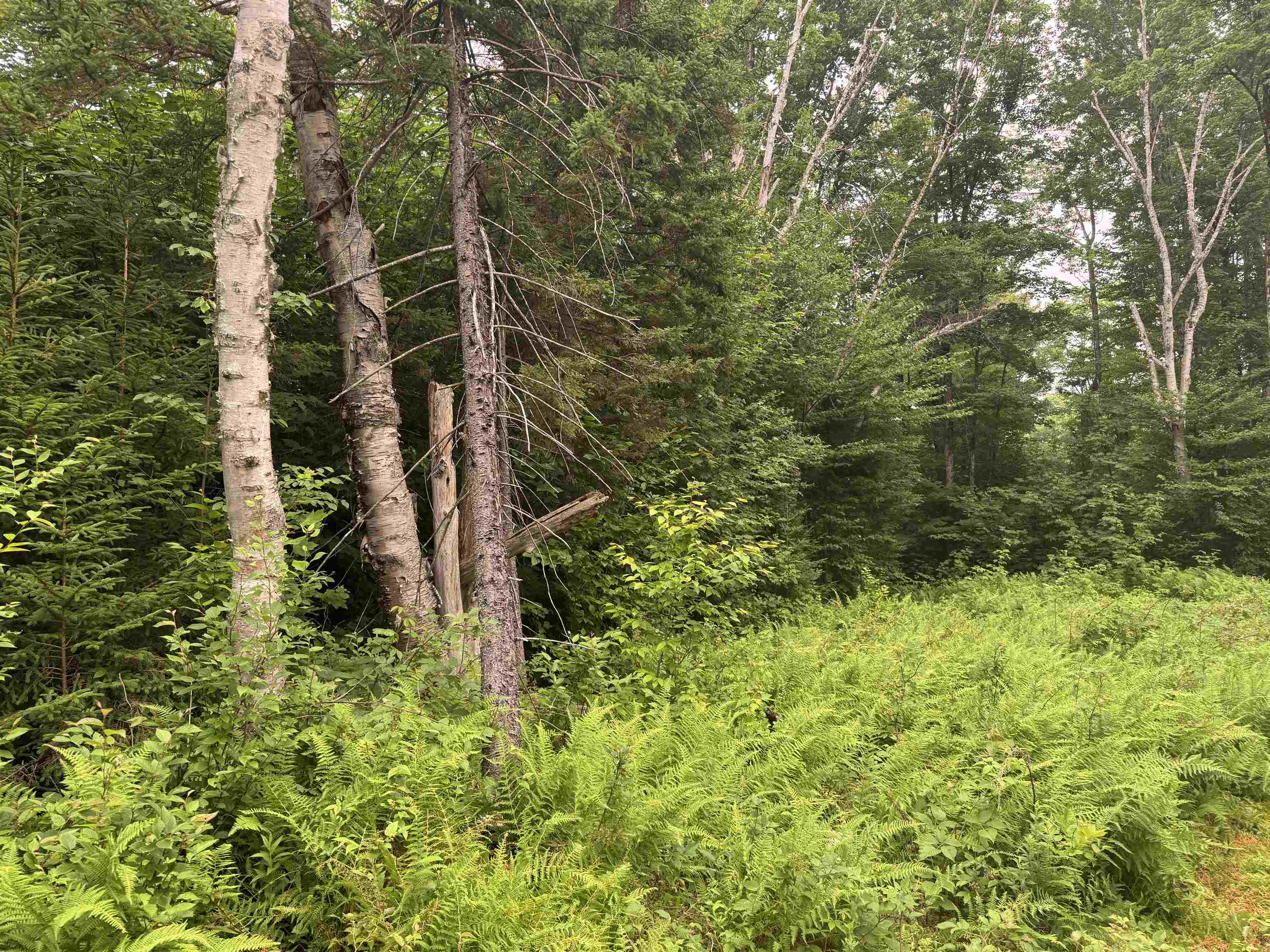 185 Valley View Road West Dover, VT 05356 - Photo 21 of 30