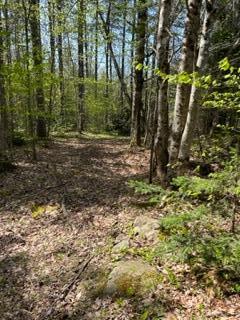 R1-37b O'Dell Road New Sharon, ME 04955 - Photo 28 of 32 IMG_5179