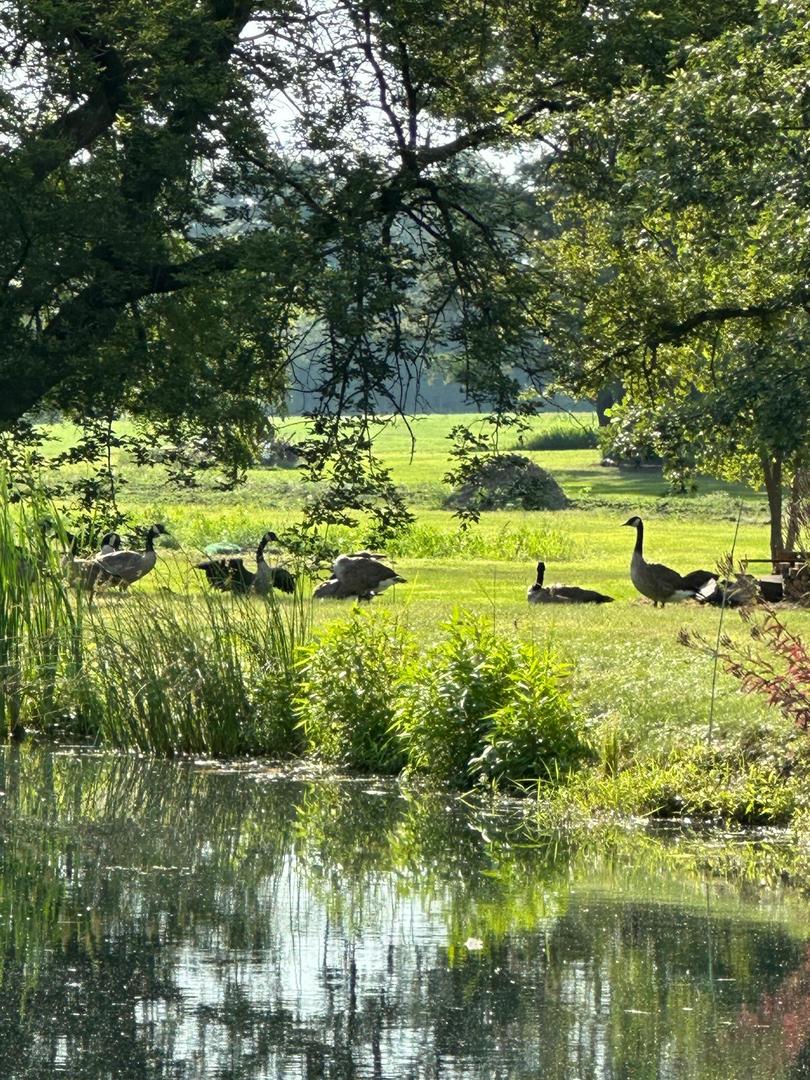 3197 South Baileyville Road Freeport, IL 61032 - Photo 67 of 74