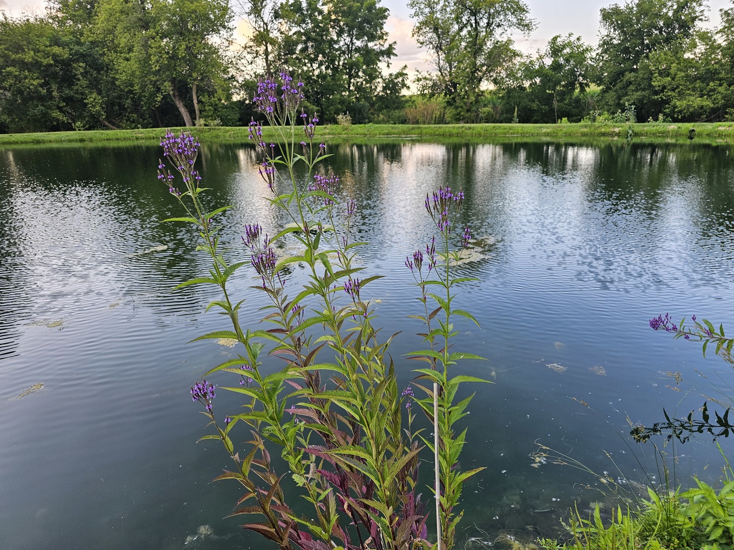 3197 South Baileyville Road Freeport, IL 61032 - Photo 71 of 74