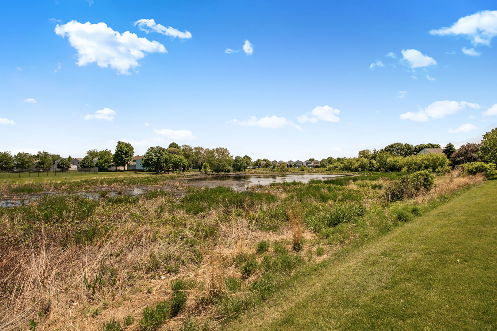59 Freesia Court Romeoville, IL 60446 - Photo 41 of 63