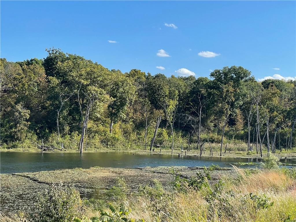 22428 West 90th Terrace Lenexa, KS 66227 - Photo 39 of 42