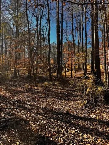 a view of a yard with trees