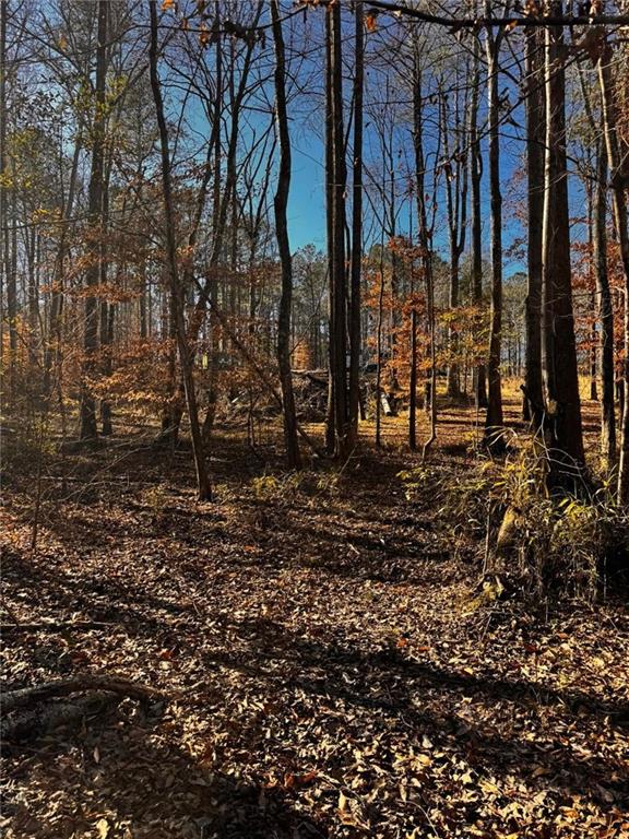 300 Speight Road Temple, GA 30179 - Photo 11 of 11 a view of a yard with trees