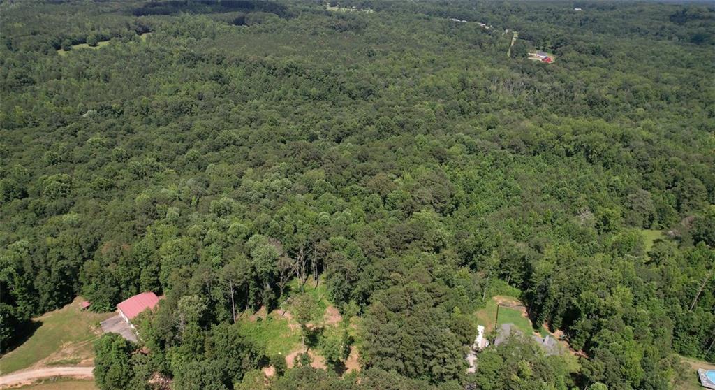 300 Speight Road Temple, GA 30179 - Photo 6 of 11 a partial view of a house with a tree
