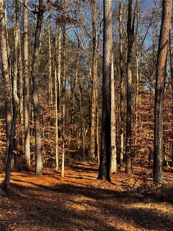 300 Speight Road Temple, GA 30179 - Photo 7 of 11 a view of a pathway both side of building