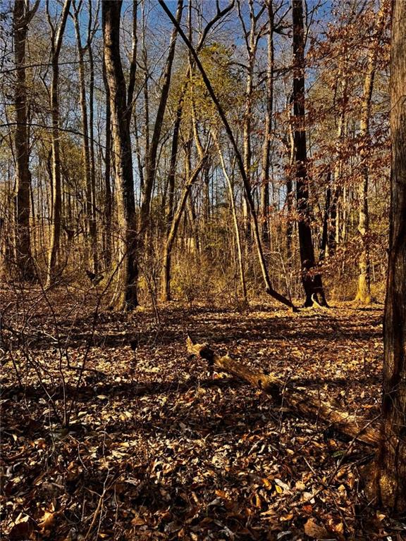 300 Speight Road Temple, GA 30179 - Photo 8 of 11 a view of a tree