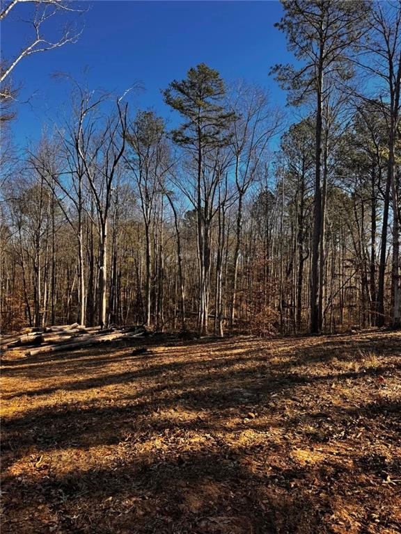 300 Speight Road Temple, GA 30179 - Photo 9 of 11 a view of a backyard of a house