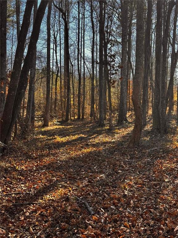 300 Speight Road Temple, GA 30179 - Photo 10 of 11 a view of outdoor space with water fountain