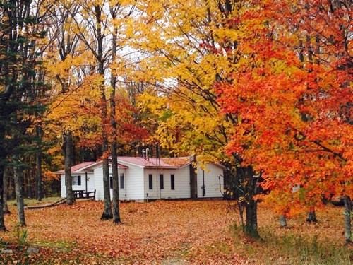 10592 Johnson Road Mancelona, MI 49659 - Photo 7 of 44 1834900-6.JPG