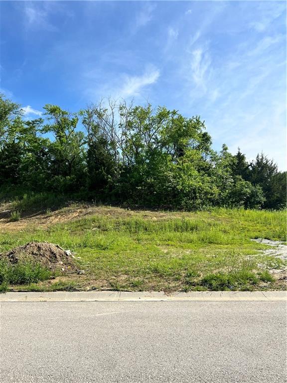 360 South Overlook Street Olathe, KS 66061 - Photo 1 of 4