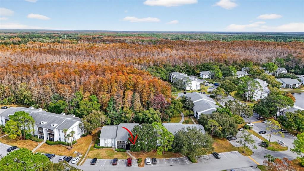 1258 Pine Ridge Circle West, Unit D1 Tarpon Springs, FL 34688 - Photo 2 of 42 an aerial view of multiple house