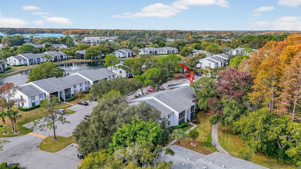 1258 Pine Ridge Circle West, Unit D1 Tarpon Springs, FL 34688 - Photo 32 of 42 an aerial view of a houses with a lake view