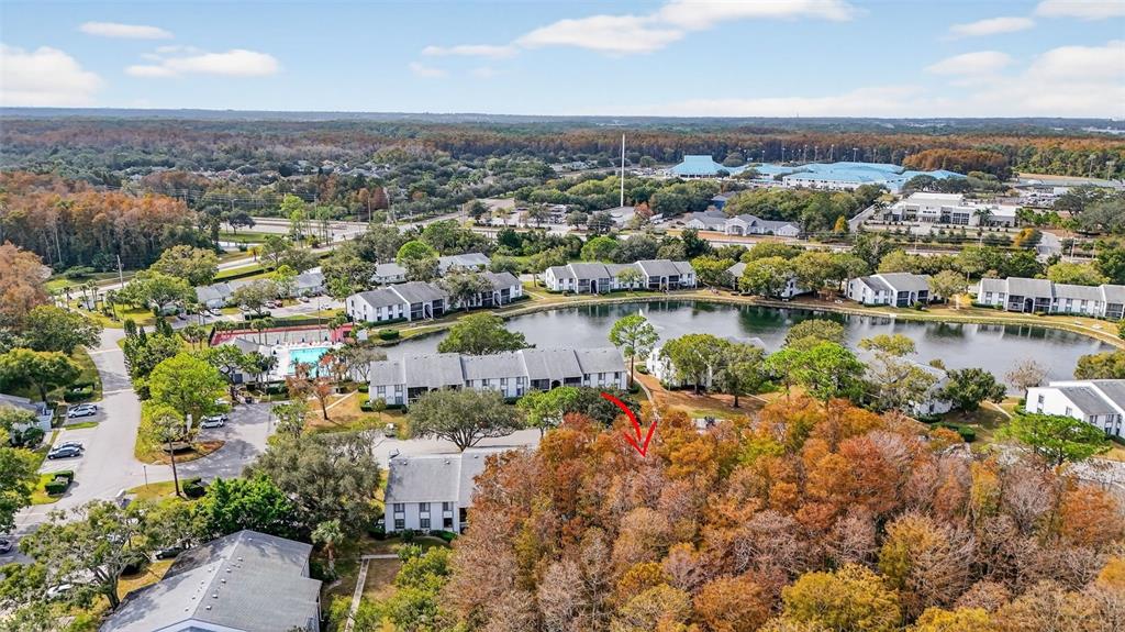 1258 Pine Ridge Circle West, Unit D1 Tarpon Springs, FL 34688 - Photo 34 of 42 an aerial view of residential building and lake view