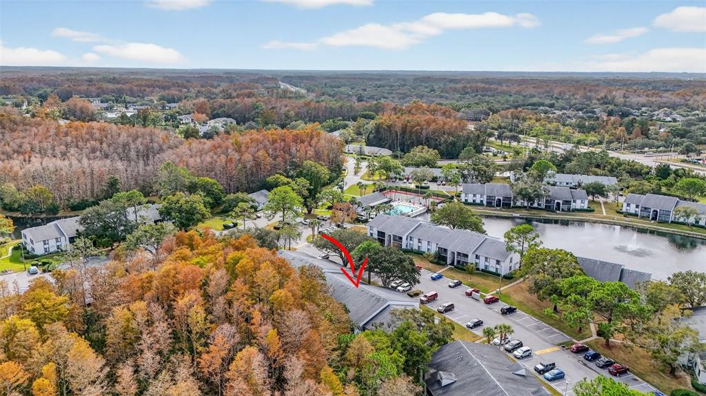 1258 Pine Ridge Circle West, Unit D1 Tarpon Springs, FL 34688 - Photo 35 of 42 an aerial view of lake and residential houses with outdoor space