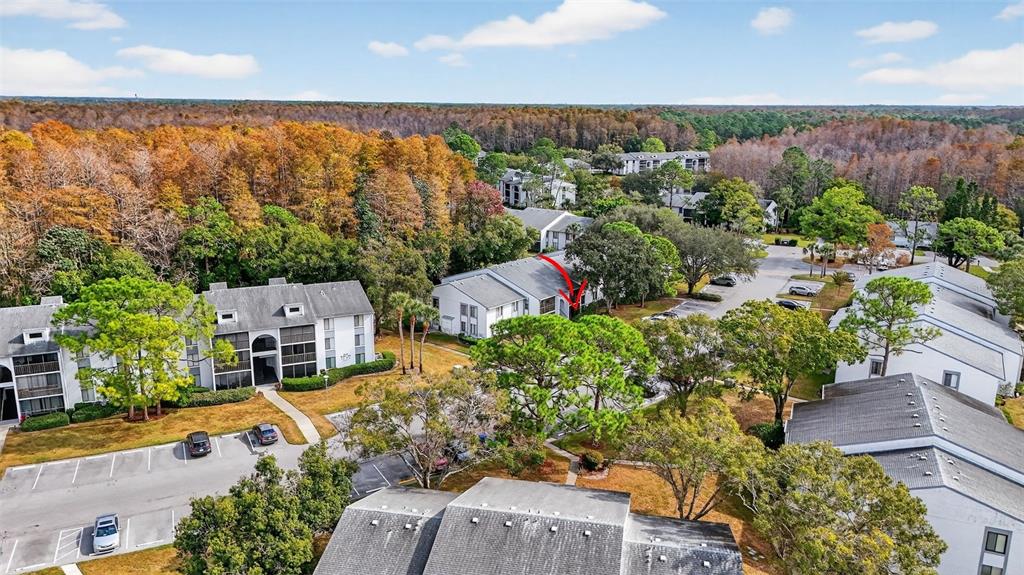 1258 Pine Ridge Circle West, Unit D1 Tarpon Springs, FL 34688 - Photo 37 of 42 an aerial view of multiple house
