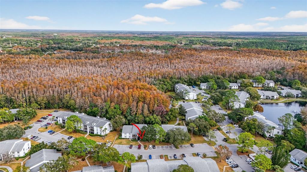 1258 Pine Ridge Circle West, Unit D1 Tarpon Springs, FL 34688 - Photo 39 of 42 an aerial view of multiple house
