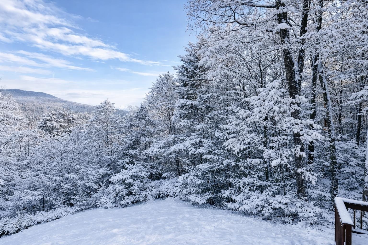 1724 Sangamon Road Pittsford, VT 05763 - Photo 11 of 39