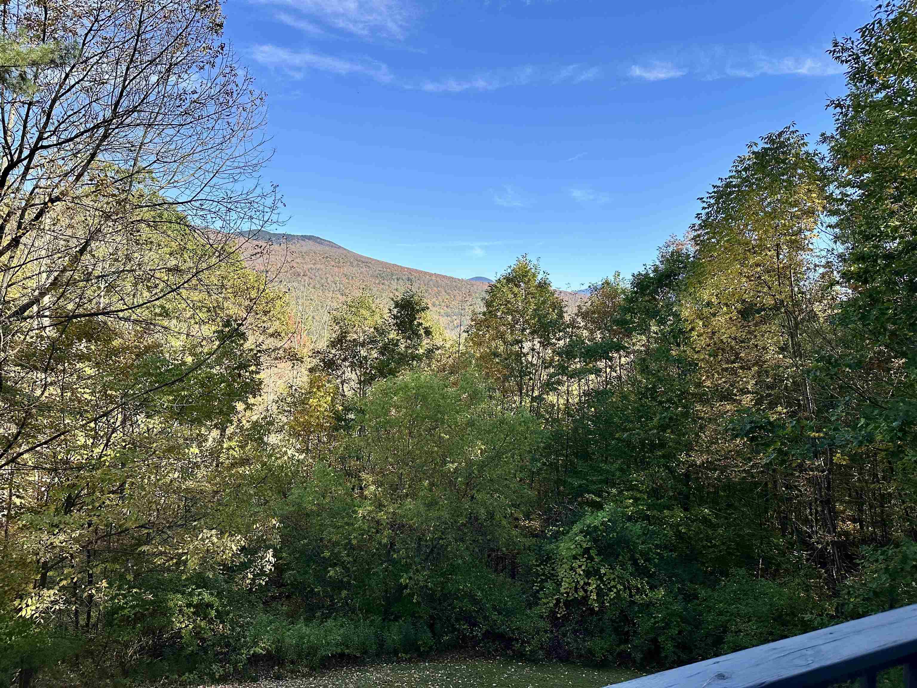 1724 Sangamon Road Pittsford, VT 05763 - Photo 12 of 39