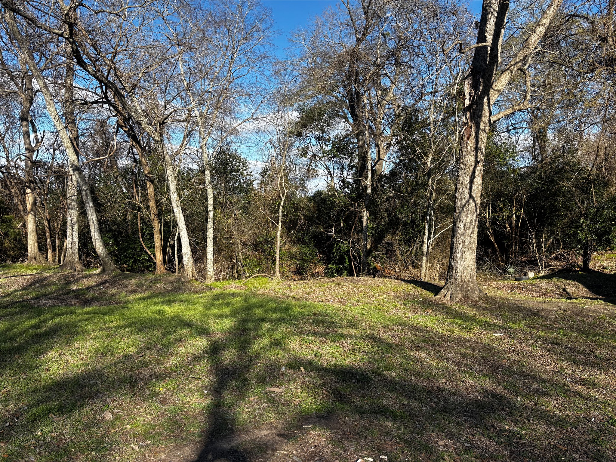 100B Ross Street, Unit B Huntsville, TX 77320 - Photo 2 of 22