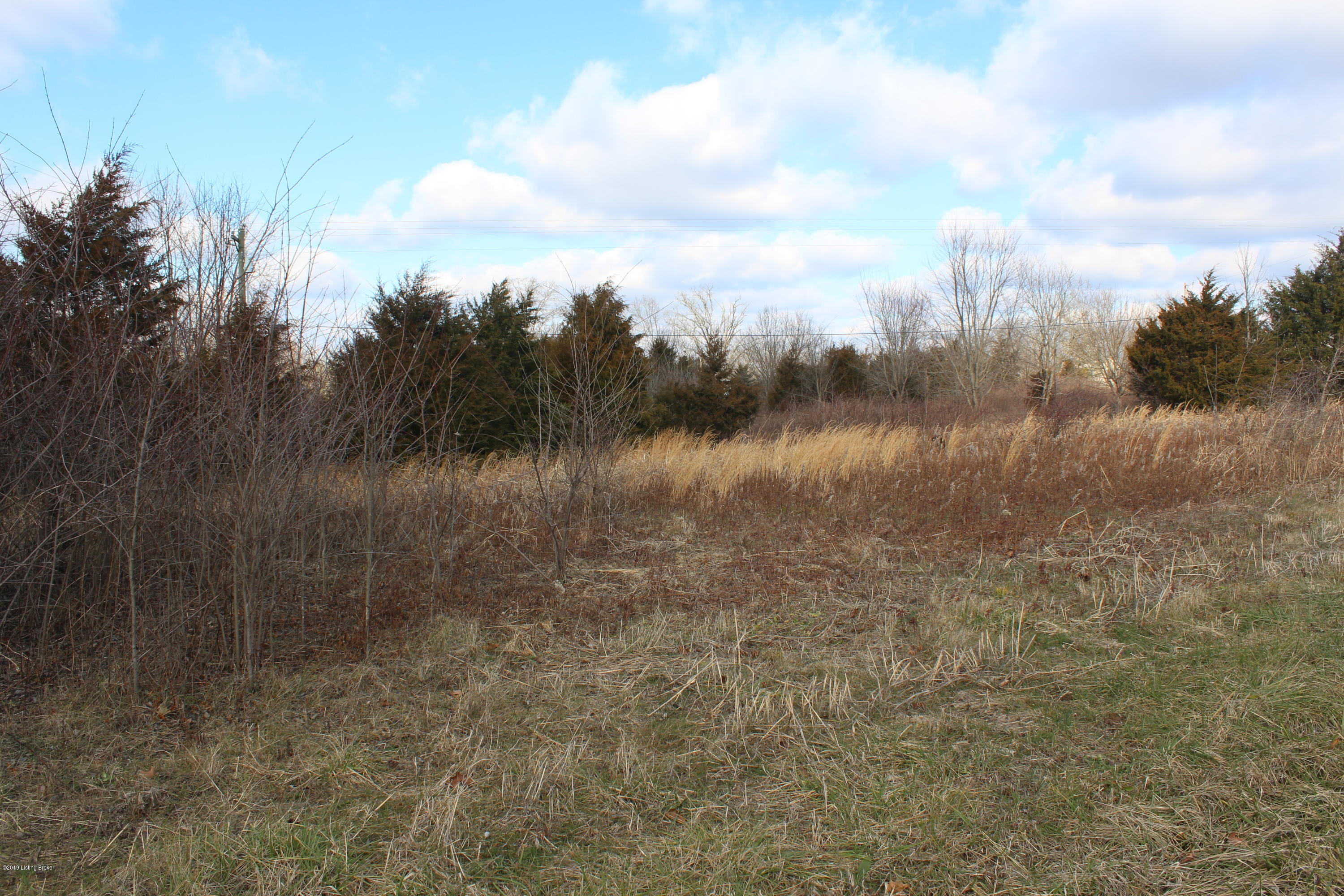 Lot 30 Bart Smith Road Smithfield, KY 40068 - Photo 6 of 6 005