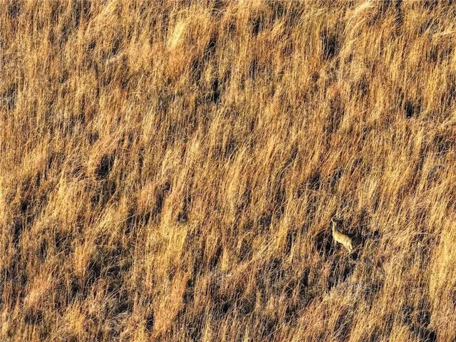 $1 | 74 Northeast 70th Lane, Lamar, MO 64759