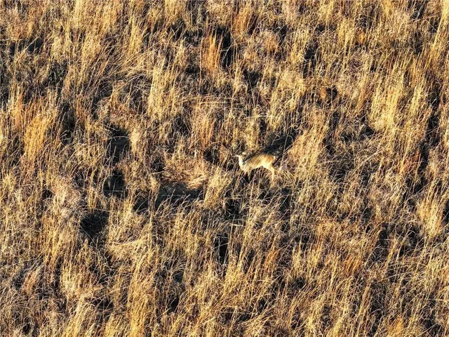 $1 | 74 Northeast 70th Lane, Lamar, MO 64759