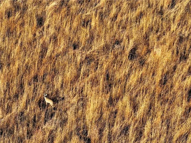 $1 | 74 Northeast 70th Lane, Lamar, MO 64759