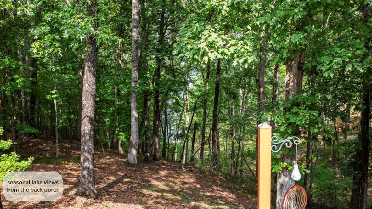 126 Beacon Ridge Circle Salem, SC 29676 - Photo 23 of 24 Gallery Image 23
