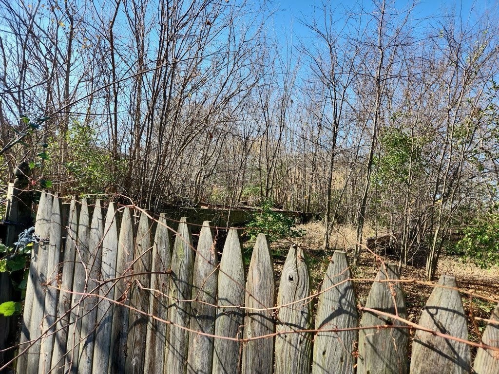 9118 South Cregier Avenue Chicago, IL 60617 - Photo 2 of 3 a view of an outdoor space