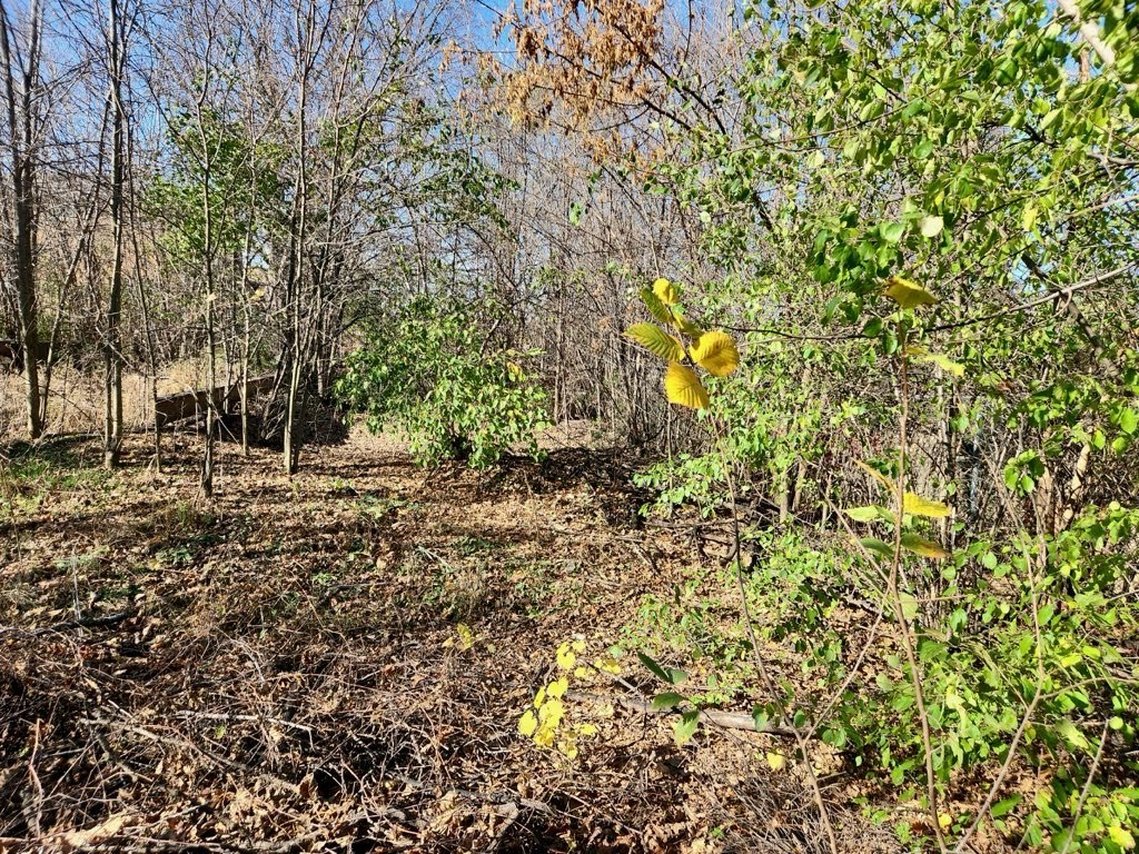 9118 South Cregier Avenue Chicago, IL 60617 - Photo 3 of 3 a backyard of a house with lots of green space