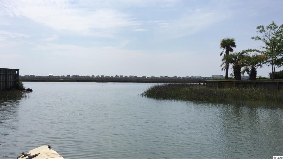 26 Flagg Street Murrells Inlet, SC 29576 - Photo 25 of 25