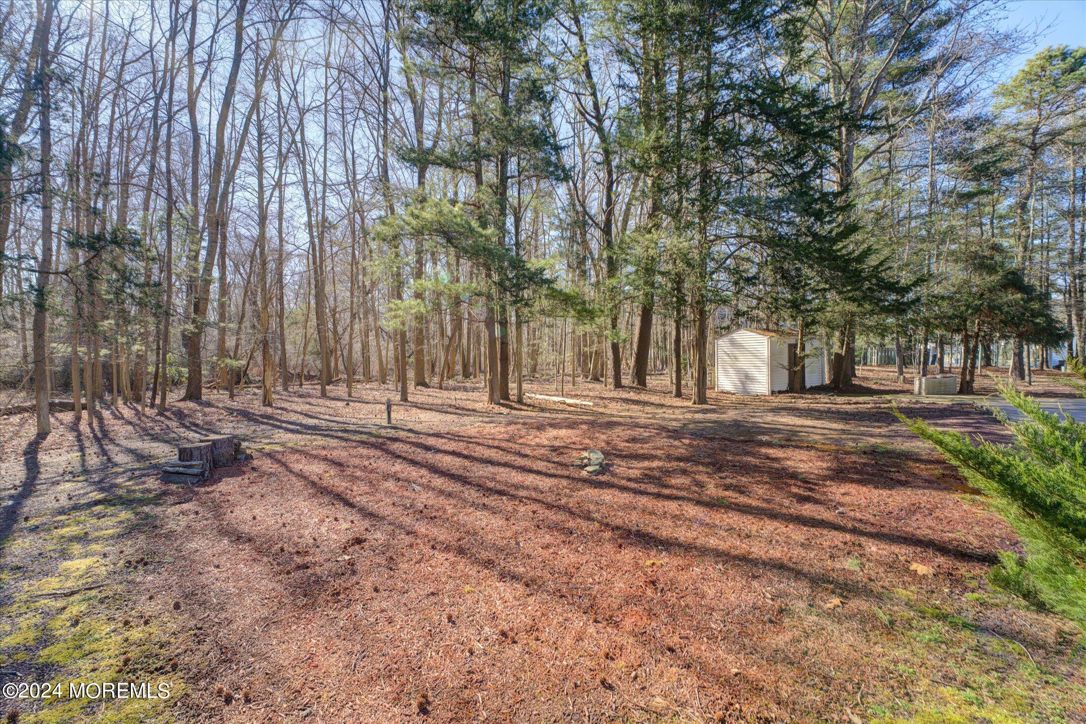 19 Mimosa Court Jackson, NJ 08527 - Photo 34 of 40 35-Backyard