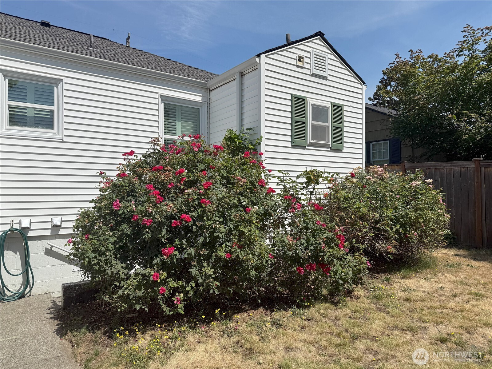 4329 Northeast 56th Street Seattle, WA 98105 - Photo 33 of 34 a bunch of flowers in front of a house