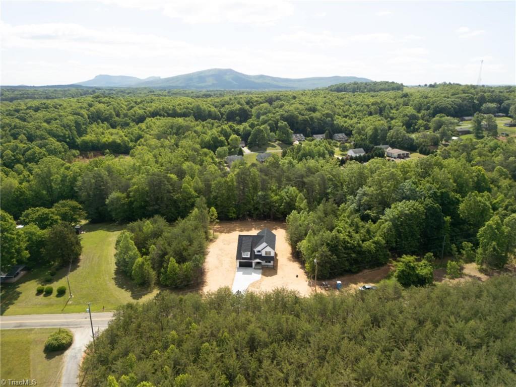 482 Carson Road Pilot Mountain, NC 27041 - Photo 3 of 41