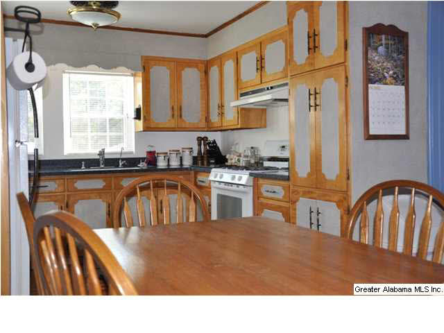 1925 Linden Street Leeds, AL 35094 - Photo 3 of 18
