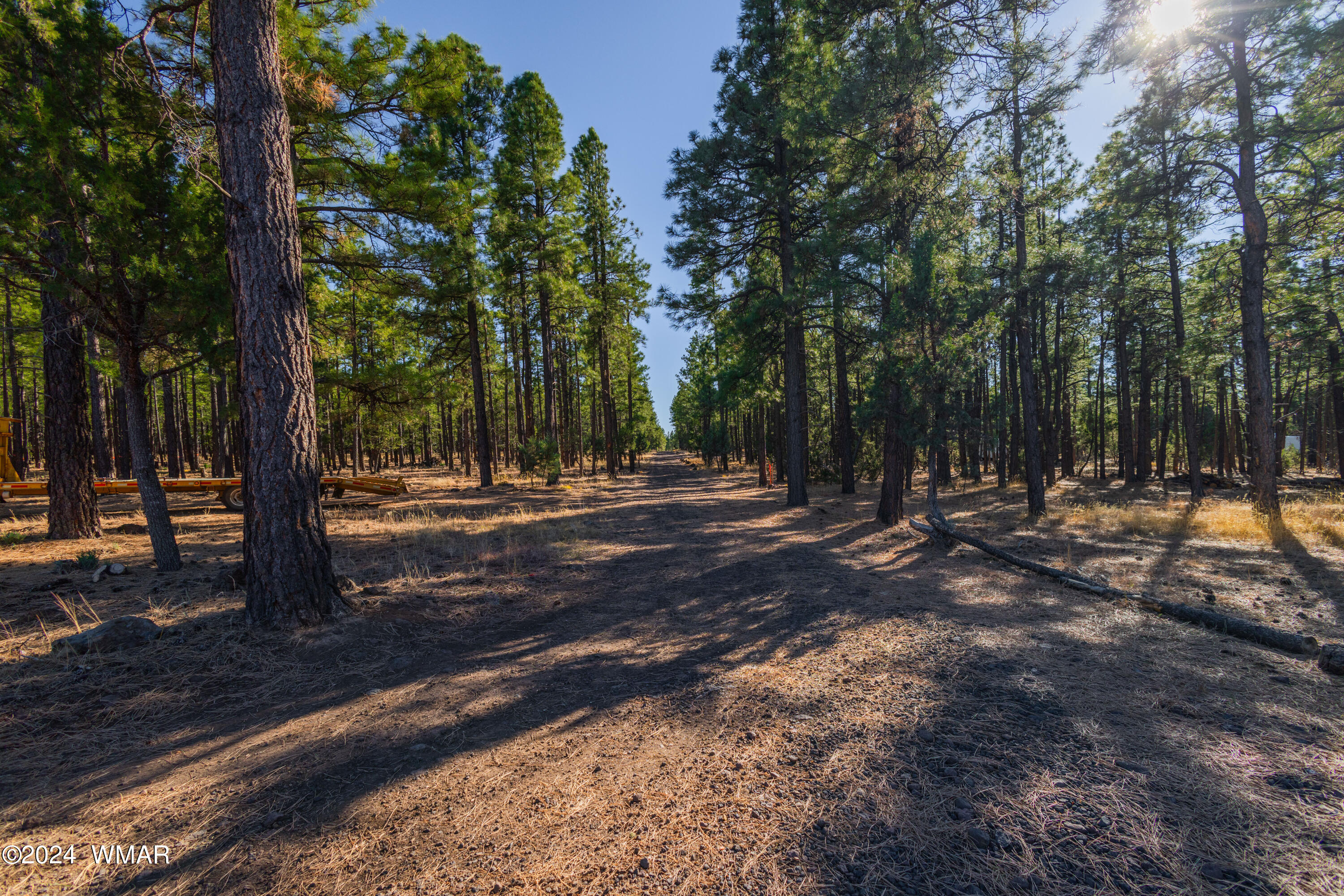 39 H Dynamite Pinetop, AZ 85935 - Photo 2 of 11