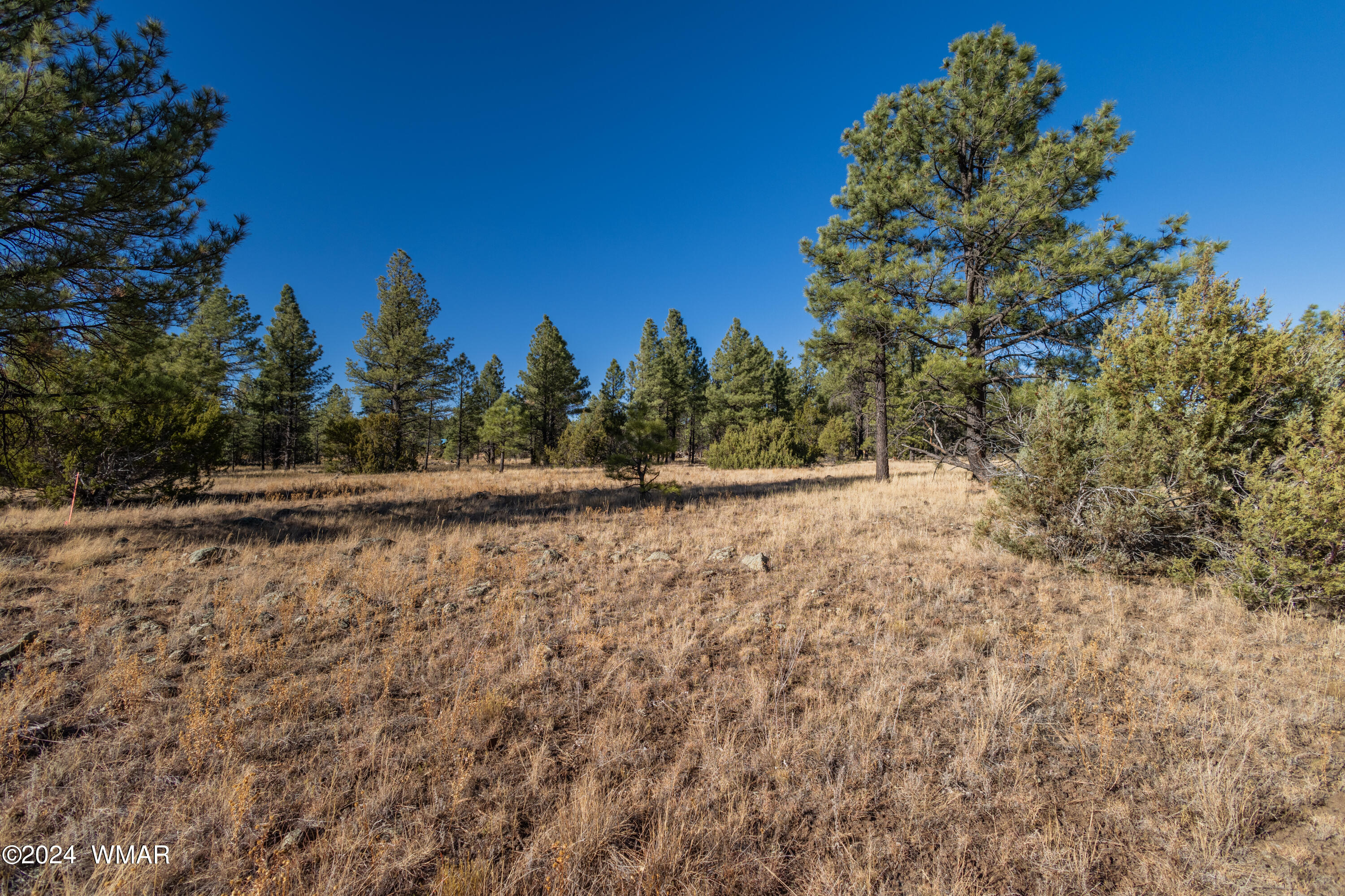 39 H Dynamite Pinetop, AZ 85935 - Photo 7 of 11