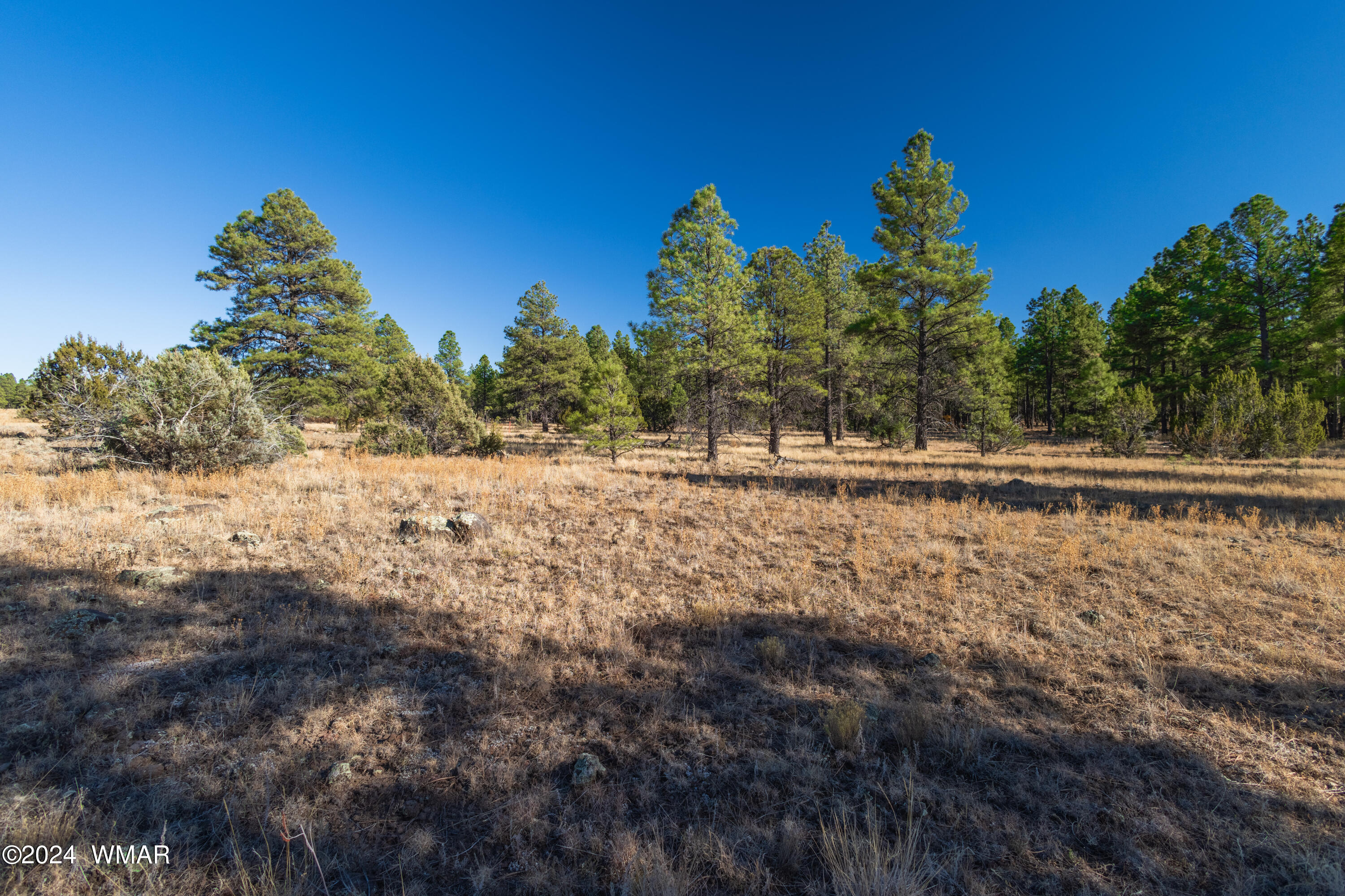 39 H Dynamite Pinetop, AZ 85935 - Photo 8 of 11