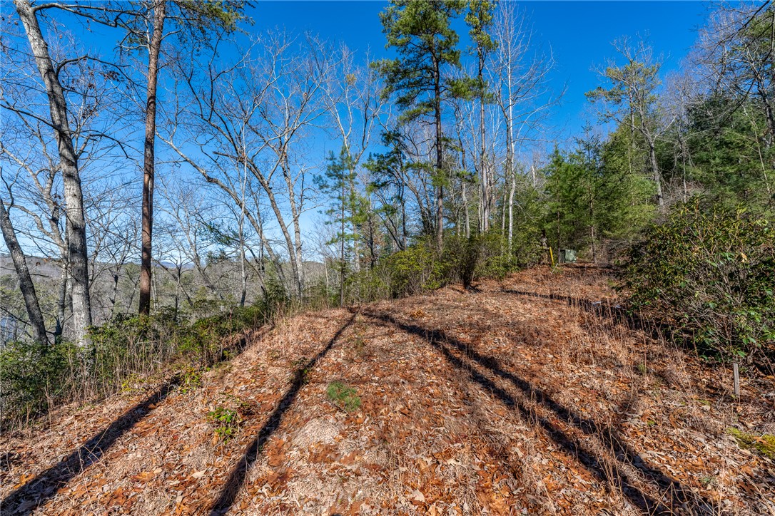 224 Buttercup Way Sunset, SC 29685 - Photo 5 of 17 Gallery Image 5