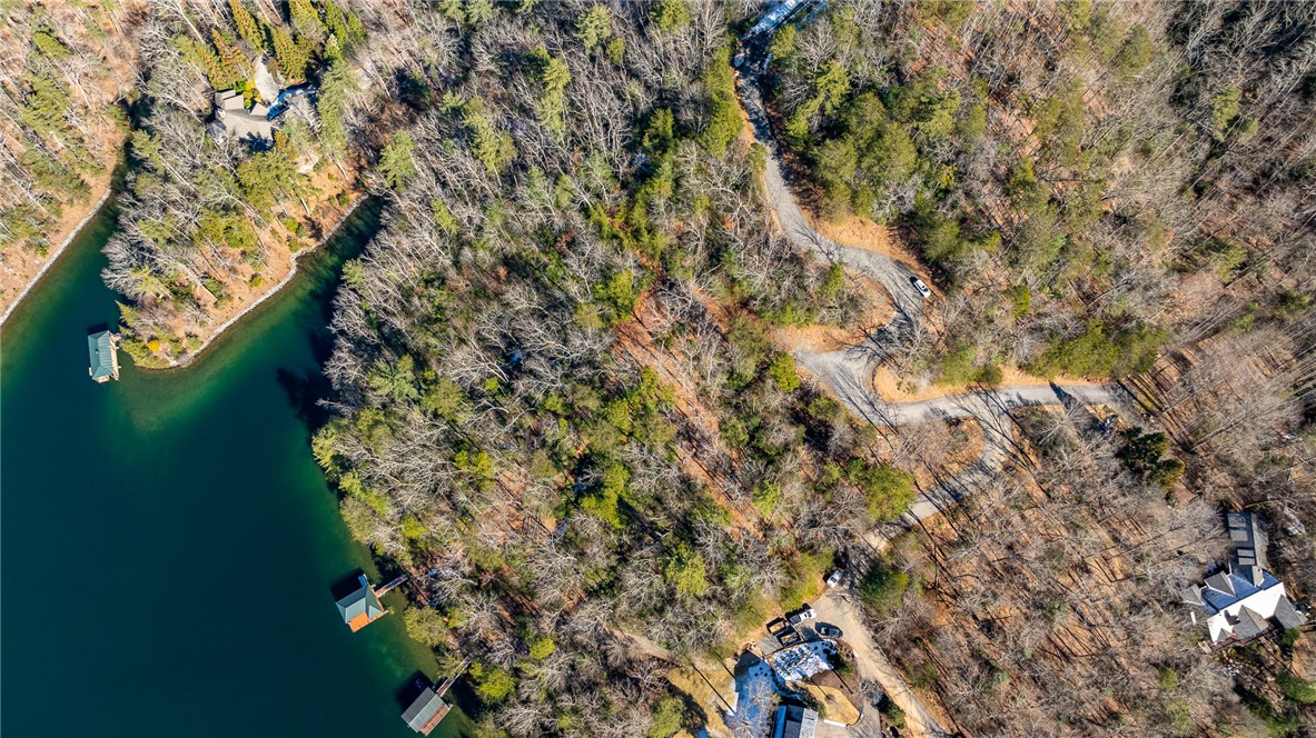 224 Buttercup Way Sunset, SC 29685 - Photo 8 of 17 Gallery Image 8